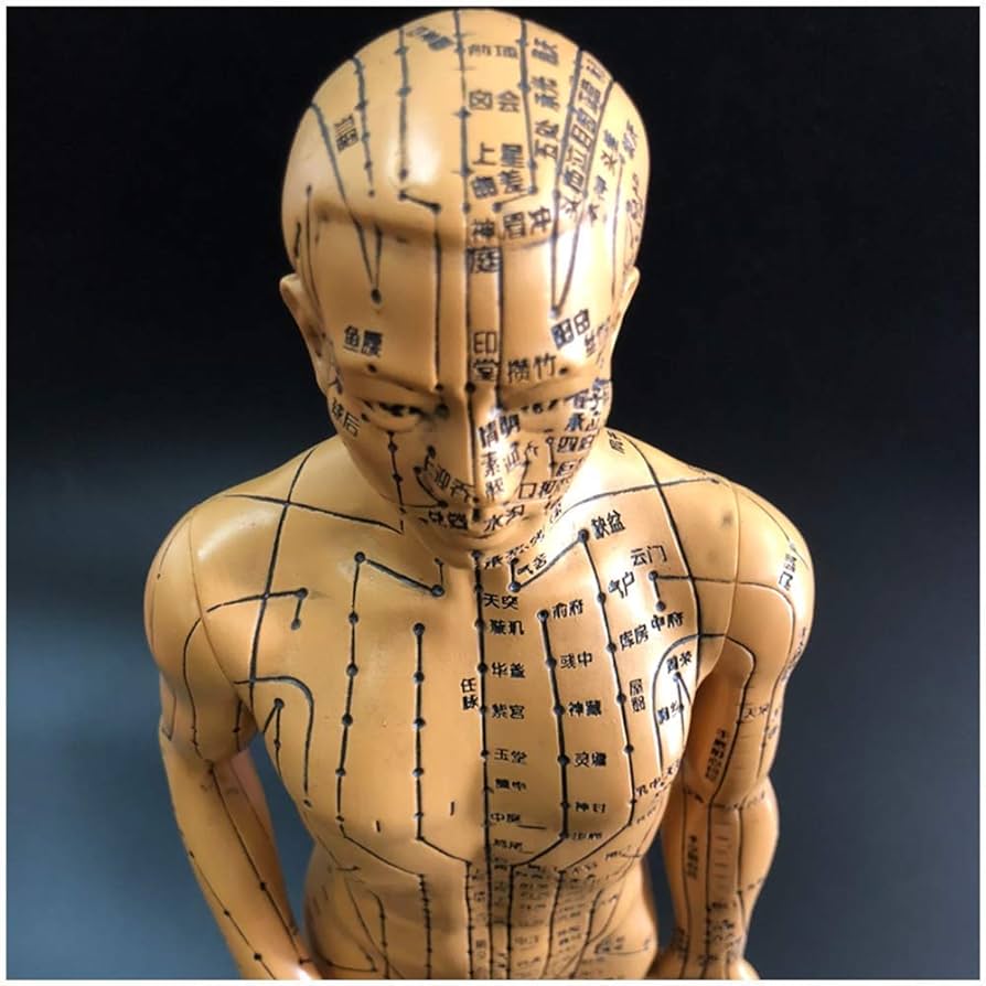 Unraveling Winter-Induced Muscle Cramps: TCM's Insights and Acupuncture Solutions